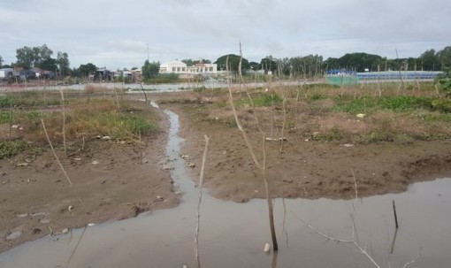 Nước cạn giữa mùa lũ, từ thiên tai đến “nhân tai“