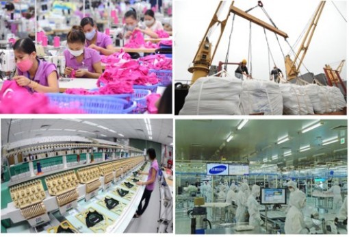 Xuất khẩu 2019: Một năm nhìn lại