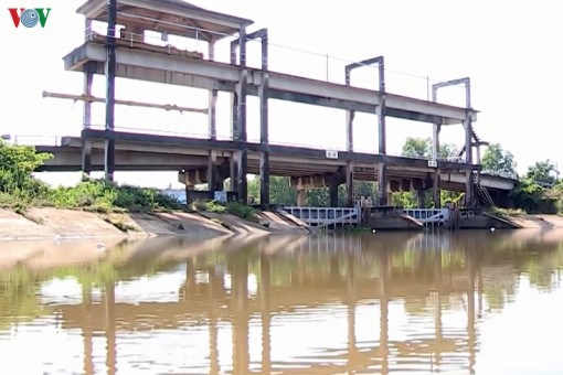 Nước mặn tấn công tỉnh Vĩnh Long, độ mặn nhiều nơi vượt ngưỡng