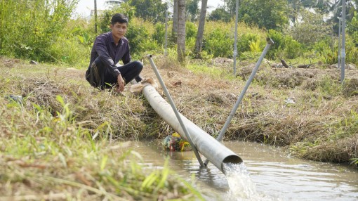 Làng hoa Chợ Lách bị hạn mặn đe dọa