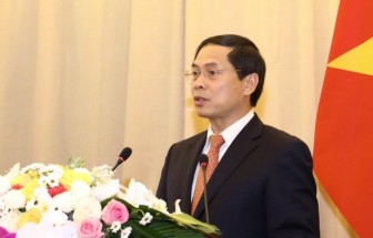 Tăng cường hợp tác quan hệ ngoại giao Việt Nam-Hoa Kỳ