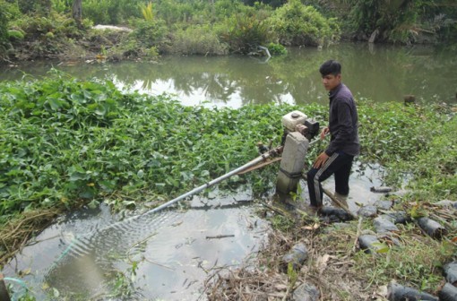 Đồng bằng sông Cửu Long đối diện xâm nhập mặn sớm và sâu