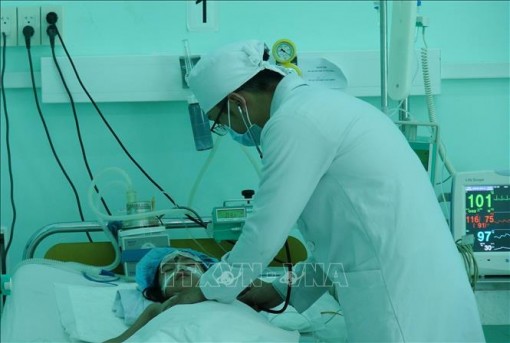 Chủ động phòng, chống dịch bệnh mùa đông xuân năm 2019-2020