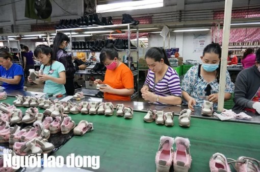 Chi tiết tuổi nghỉ hưu của người lao động theo từng năm từ 1-1-2020