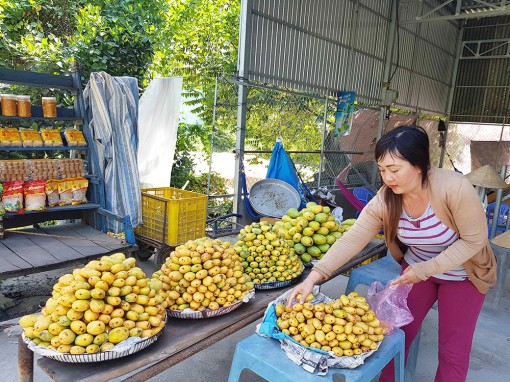 Tri Tôn tập trung nâng cao giá trị nông nghiệp