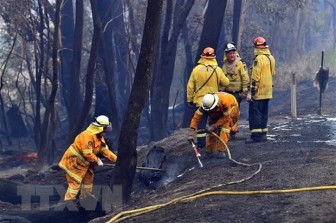 Australia: Nắng nóng kỷ lục đe dọa cháy rừng và mất điện diện rộng