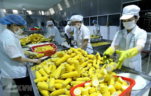 Nâng cao giá trị nông sản Việt: Cần một chiến lược toàn diện