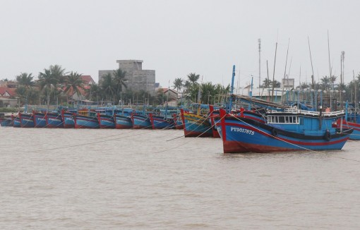 Các tỉnh từ Quảng Ninh đến Cà Mau chủ động ứng phó bão Phanfone
