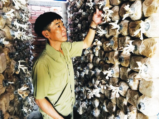 Cựu chiến binh làm kinh tế giỏi