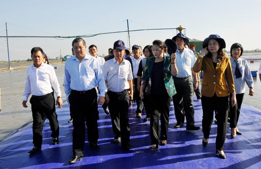 Châu Phú hoàn thành nhiệm vụ phát triển kinh tế - xã hội năm 2019