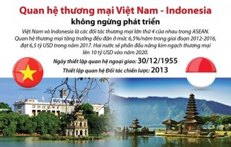 Quan hệ Việt Nam-Indonesia dựa trên những nền tảng vững chắc
