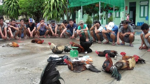 Chợ Mới phòng, chống tội phạm và vi phạm pháp luật