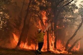 Australia chuẩn bị đón năm 2020 trong nắng nóng và cháy rừng kỷ lục