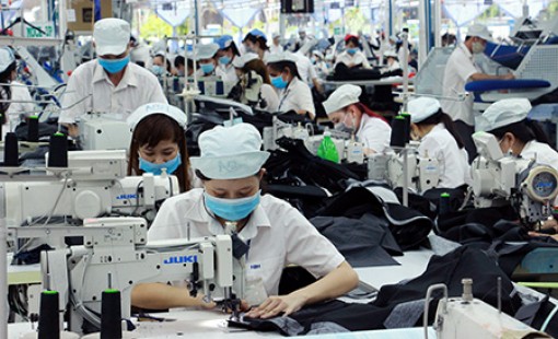 Tỉnh trẻ vươn mình