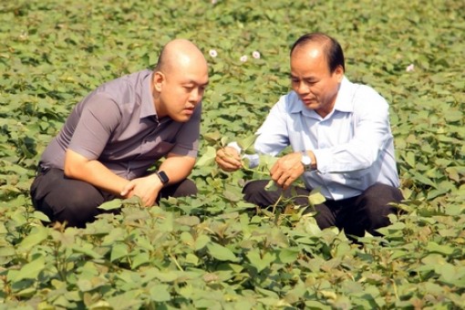 Nông nghiệp thêm một năm vượt khó tăng trưởng