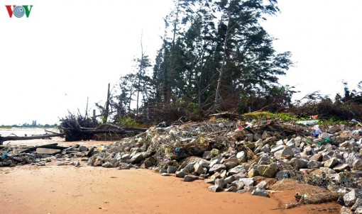 Bến Tre đầu tư trên 63 tỷ đồng để “cứu” Cồn Bửng