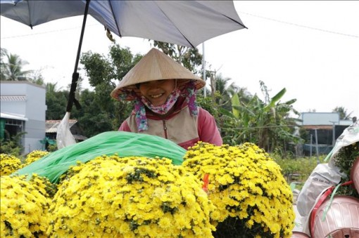 Tất bật cây cảnh phục vụ Tết