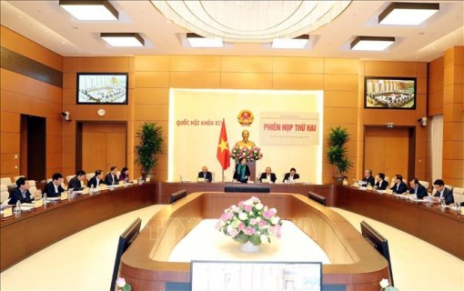 Tổng kết 15 năm triển khai Chiến lược xây dựng và hoàn thiện hệ thống pháp luật