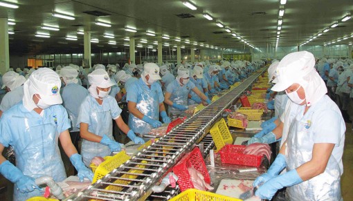 Nỗ lực vượt khó của ngành hàng thủy sản