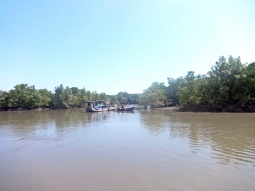 Đồng bằng sông Cửu Long: Xâm nhập mặn gia tăng trở lại