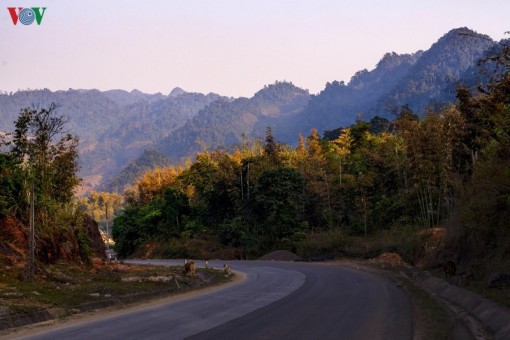 Lên Mộc Châu ngắm sắc hoa rực rỡ khi mùa Xuân về