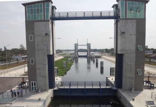 Chủ động ứng phó với xâm nhập mặn