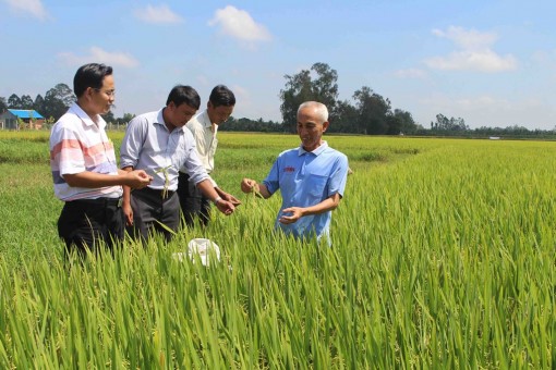 Phát triển Tân Châu trở thành vùng kinh tế trọng điểm của tỉnh