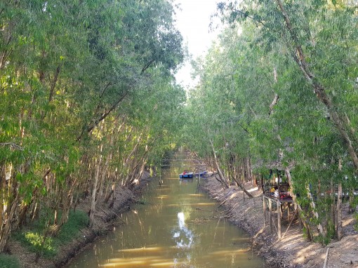 Tập trung ứng phó hạn, mặn