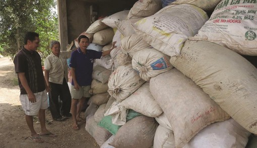 “Kho” thuốc nam cho bệnh nhân nghèo