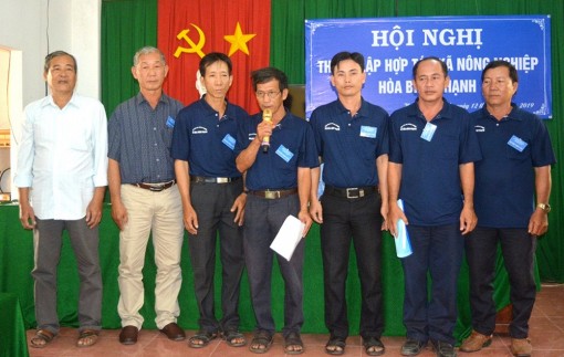Châu Thành: Thành lập 11 hợp tác xã nông nghiệp
