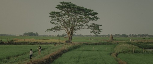 “Mắt biếc” - Chuyến tàu về với ký ức không nên bỏ lỡ vào dịp Tết này