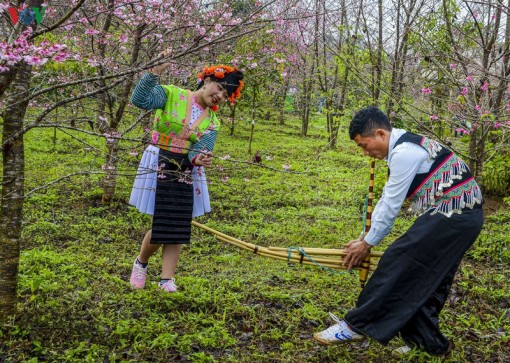 Sắc xuân, không khí Tết ngập tràn nơi cực Tây Tổ quốc