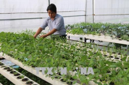 Năm Canh Tý 2020, Tiền Giang kỳ vọng có thêm nhiều đột phá