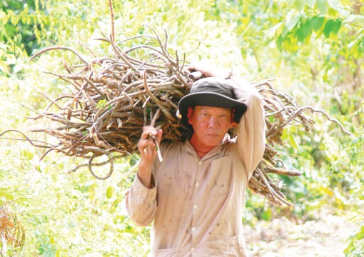 Lên non tầm dược