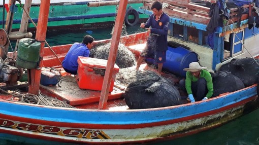 Khai thác thủy sản đầu năm: Ngư dân Cà Mau ấm áp mùa Tết biển