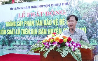 Châu Phú phát động trồng cây phân tán bảo vệ đê bao kiểm soát lũ