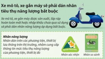 Công khai mức tiêu hao nhiên liệu của 190 mẫu xe máy tại Việt Nam