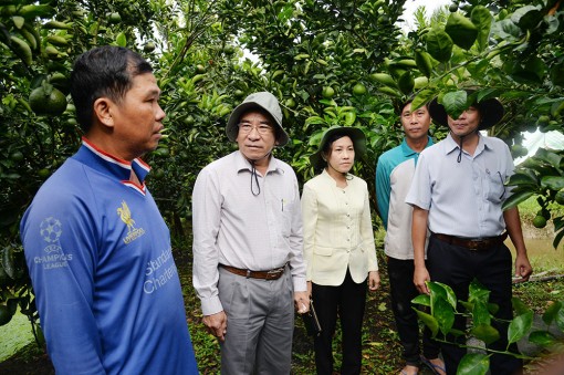 Châu Thành: Khuyến khích nông dân phát triển kinh tế trang trại