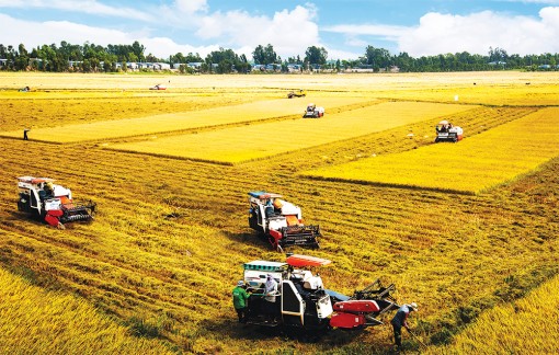 Kịch bản tăng trưởng năm 2020
