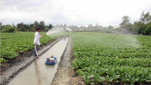 Đề phòng đợt hạn, mặn trong tháng 2