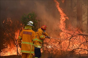 Australia cùng lúc đối mặt với cháy rừng, lũ lụt và bão