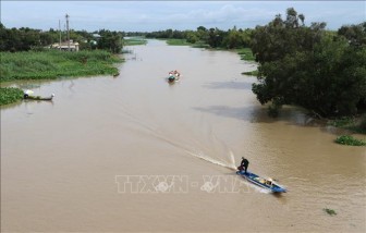 Từ ngày 11 đến 15-2, xuất hiện xâm nhập mặn cao nhất trên sông Cửu Long