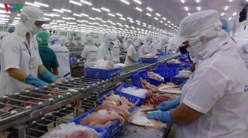 Ứng phó dịch nCoV: Tìm thị trường mới, cách làm mới cho nông sản