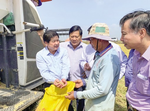 Đối phó khô hạn, xâm nhập mặn, bảo vệ sản xuất nông nghiệp