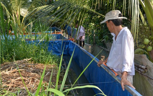 Nông dân Châu Thành thi đua sản xuất - kinh doanh giỏi