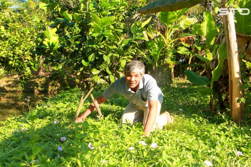 Sáng kiến ứng phó hạn, mặn