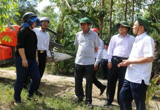 Lãnh đạo TP Cần Thơ kiểm tra phòng chống hạn mặn và thu hoạch lúa đông xuân tại huyện Thới Lai