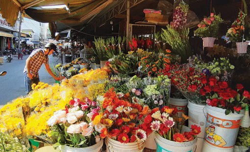 Đón Valentine trong mùa dịch bệnh