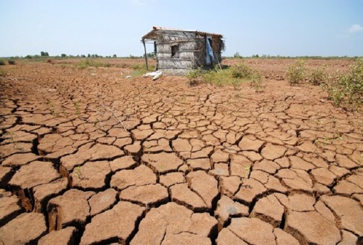 Hạn mặn năm 2019- 2020 rất gay gắt