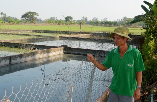 Phát triển kinh tế từ mô hình nuôi ba ba